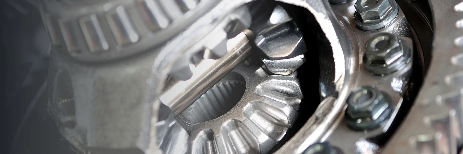 Welcome to Our Store